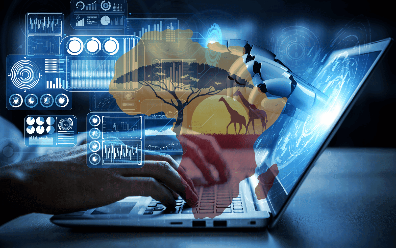 Information & Insights